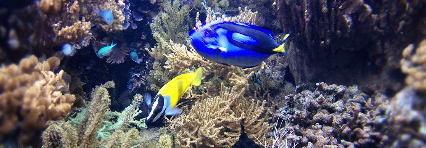Aquarium Wilhelmshaven