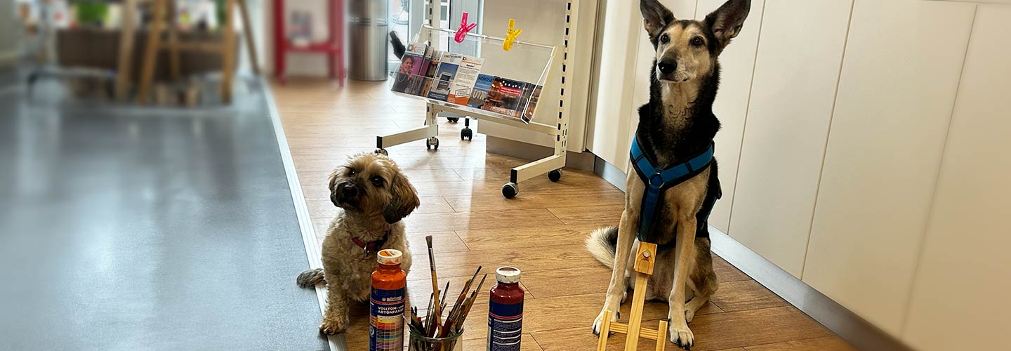 DogArt Jever