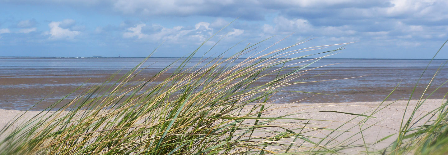 Strand Schillig